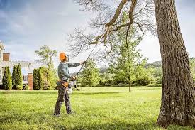 Best Hazardous Tree Removal  in Forsyth, GA