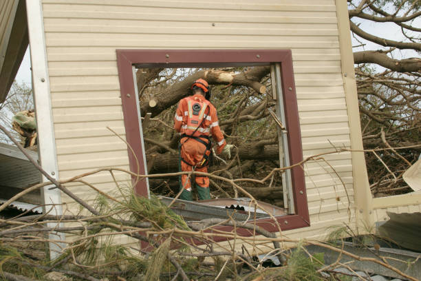  Forsyth, GA Tree Care Services Pros